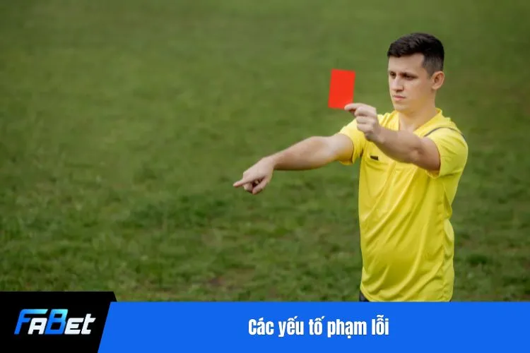 Các yếu tố phạm lỗi