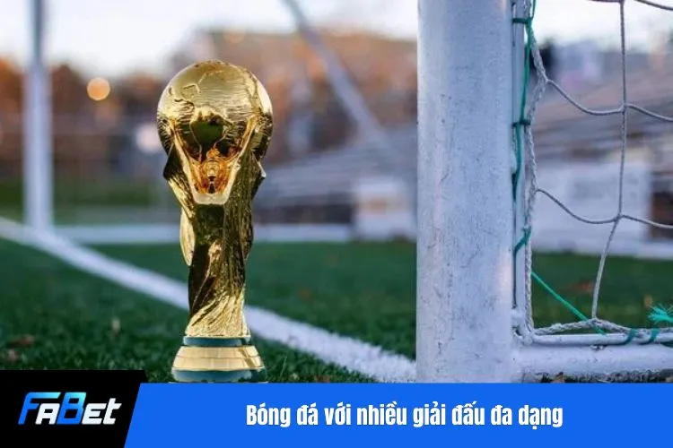 Bóng đá với nhiều giải đấu đa dạng