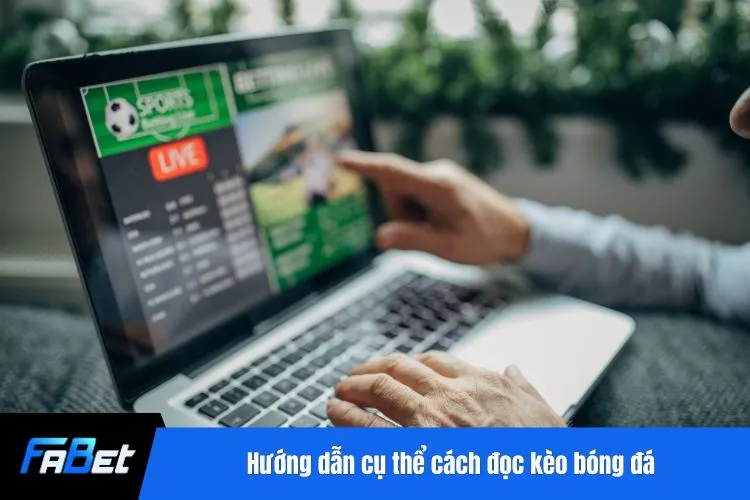 Hướng dẫn cụ thể cách đọc kèo bóng đá